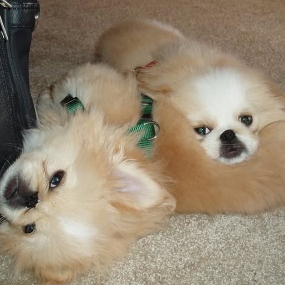 Profile Picture of Kember Dollarhide (@kember_d) on Poshmark