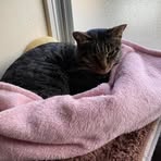 Profile Picture of Debra Egnor (@debra.egnor.54) on Facebook