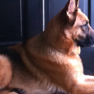 Profile Picture of Jeffrey Corzilius (@jeffcorzilius) on Twitter