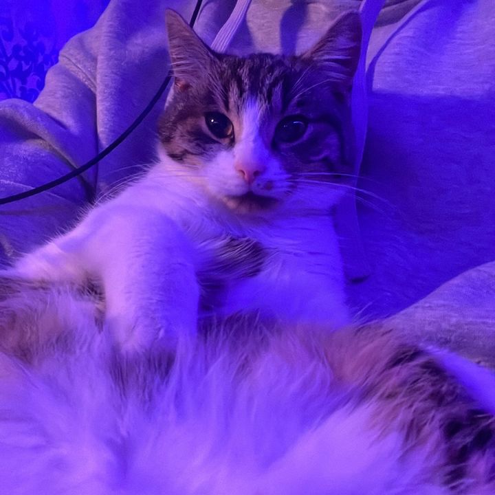 Profile Picture of matthewgave (@matthewgave) on Tiktok