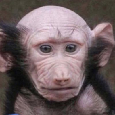 Profile Picture of Dave (@jackel4hire) on Twitter