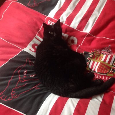 Profile Picture of John Watson (@Johnwatson0212) on Twitter