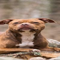 Profile Picture of BenjaminShaw (@user6209961161090) on Tiktok