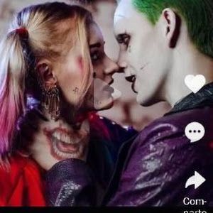 miguelfreyreflores - Tiktok Profile Picture of miguelfreyreflores (@miguelfreyreflores) on Tiktok