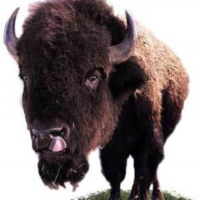 Profile Picture of Mike Birner (@mjbirner) on Twitter