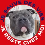 Profile Picture of Daniel Keulemans (@daniel.keulemans.5) on Facebook