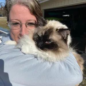 Profile Picture of Sharila Anthis (@sheilaanthis6180) on Tiktok