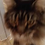 Profile Picture of Michael Kuo (@michael.kuo.333864) on Facebook