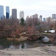 Profile Picture of KarlLansky (@KarlLansky) on Twitter