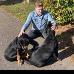 Profile Picture of Thomas Stobbelaar (@thomasstobbelaar) on Instagram