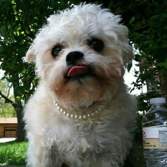 Profile Picture of Jenna Rowland (@jenugh) on Poshmark