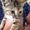 Profile Picture of Miho Kaneko (@@31673421249) on Tiktok