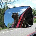 Profile Picture of Nicholas Moroder (@nickmoroder) on Instagram