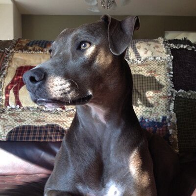 Cody Nickel - Twitter Profile Picture of Cody Nickel (@Cody_from_MT) on Twitter