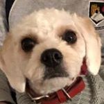 Profile Picture of Nathan Fogarty (@nathan27_healthyboiii) on Instagram