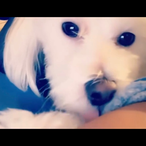 Profile Picture of Johnesia Canady (@johnesiacanady) on Poshmark