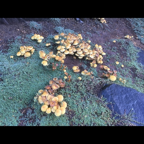 Profile Picture of Emma Cady (@emmacady) on Poshmark