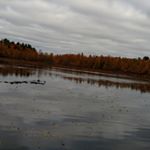 Profile Picture of Nathan Iverson (@nathan.ivers) on Instagram