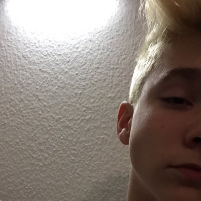 Profile Picture of Max Pohl (@Maxxofficial8) on Twitter