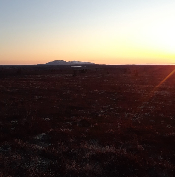 Profile Picture of Robert Hester (@robhester73) on Poshmark