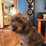 Profile Picture of Kim Mcculloch (@kim.mcculloch.9469) on Instagram