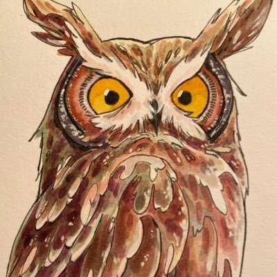 Profile Picture of Rachel Wolfe (@raychchel) on Twitter