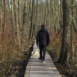 Profile Picture of Paul Dentel (@dentelpaul) on Instagram