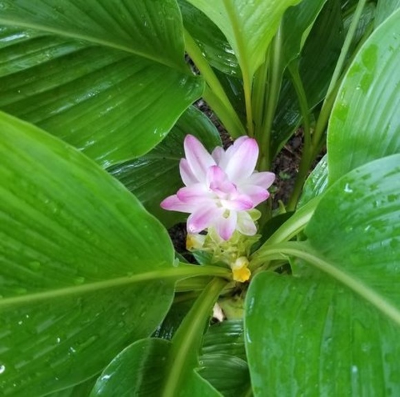 Profile Picture of Cindy Lemoine (@heartofawoman58) on Poshmark