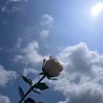 Profile Picture of Kiara Portal (@Kiara-Portal) on Facebook