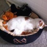 Profile Picture of Tonya Cramer (@tonyacramer) on Instagram