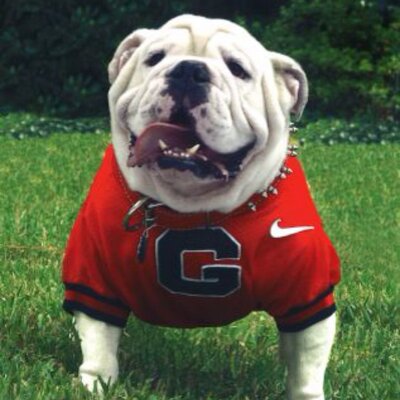 Profile Picture of Joe Spell (@jcspell) on Twitter