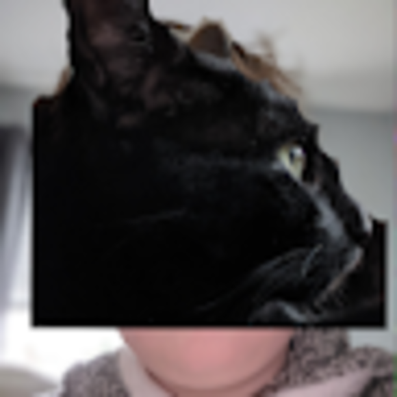 Brayden Nicholson - Poshmark Profile Picture of Brayden Nicholson (@bcn_poshmark) on Poshmark