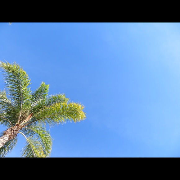 Jenna Bluett - Poshmark Profile Picture of Jenna Bluett (@jennabluett) on Poshmark