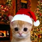 Profile Picture of Marc Gamboa (@marc.gamboa.2024) on Facebook