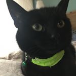 Profile Picture of David McGinnis (@david.k.mcginnis) on Instagram