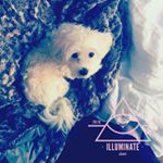 Profile Picture of Lisa 💎 (@lisa_almon) on Instagram