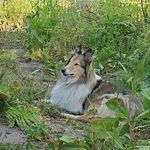 Profile Picture of Lyndi Voyvodic (@lyndi_voyvodic23) on Instagram