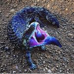 Profile Picture of Danielpiñon (@danielpillono) on Instagram