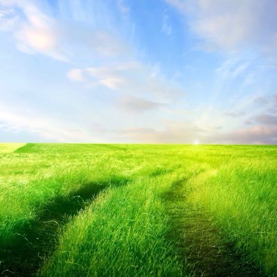 Profile Picture of Mandy Wu (@Mandywu19) on Twitter