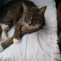 Profile Picture of Nancy Helget (@nancy-helget) on Quora