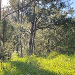 Profile Picture of Alto de los Fogones (@altodelosfogonesrd) on Instagram