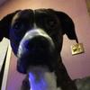 Profile Picture of Jason Neace (@@addisonx60) on Tiktok