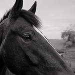 Profile Picture of Jon Palmer (@jon_palmer11) on Flickr