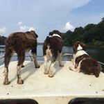 Profile Picture of Bob Armstrong (@bob.armstrong) on Instagram
