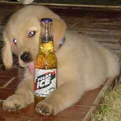 Profile Picture of Gregorio Carrera (@maurocarrera88) on Twitter