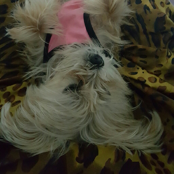 Profile Picture of Sharmane Robinson (@sacsharmane) on Poshmark