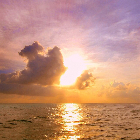 Profile Picture of Tabitha Reaves (@tmr9395) on Poshmark