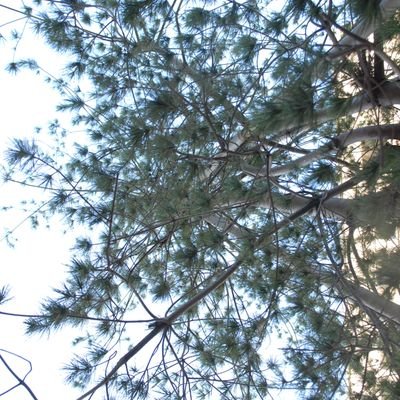 Profile Picture of Stanley Lai (@stanley030547) on Twitter