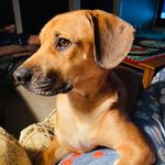 Profile Picture of Lynn Traster- Richardson (@nicolemamma) on Instagram