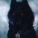 Profile Picture of Matthew Rall (@Matthew-Rall) on Facebook